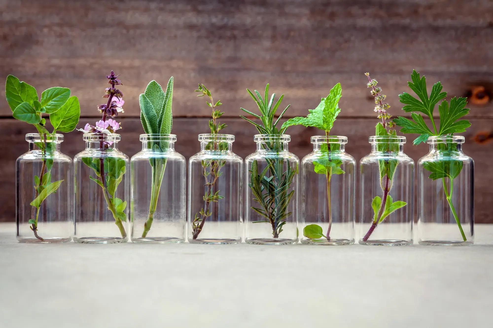 5 Boosting Benefits of Botanicals for Fitness