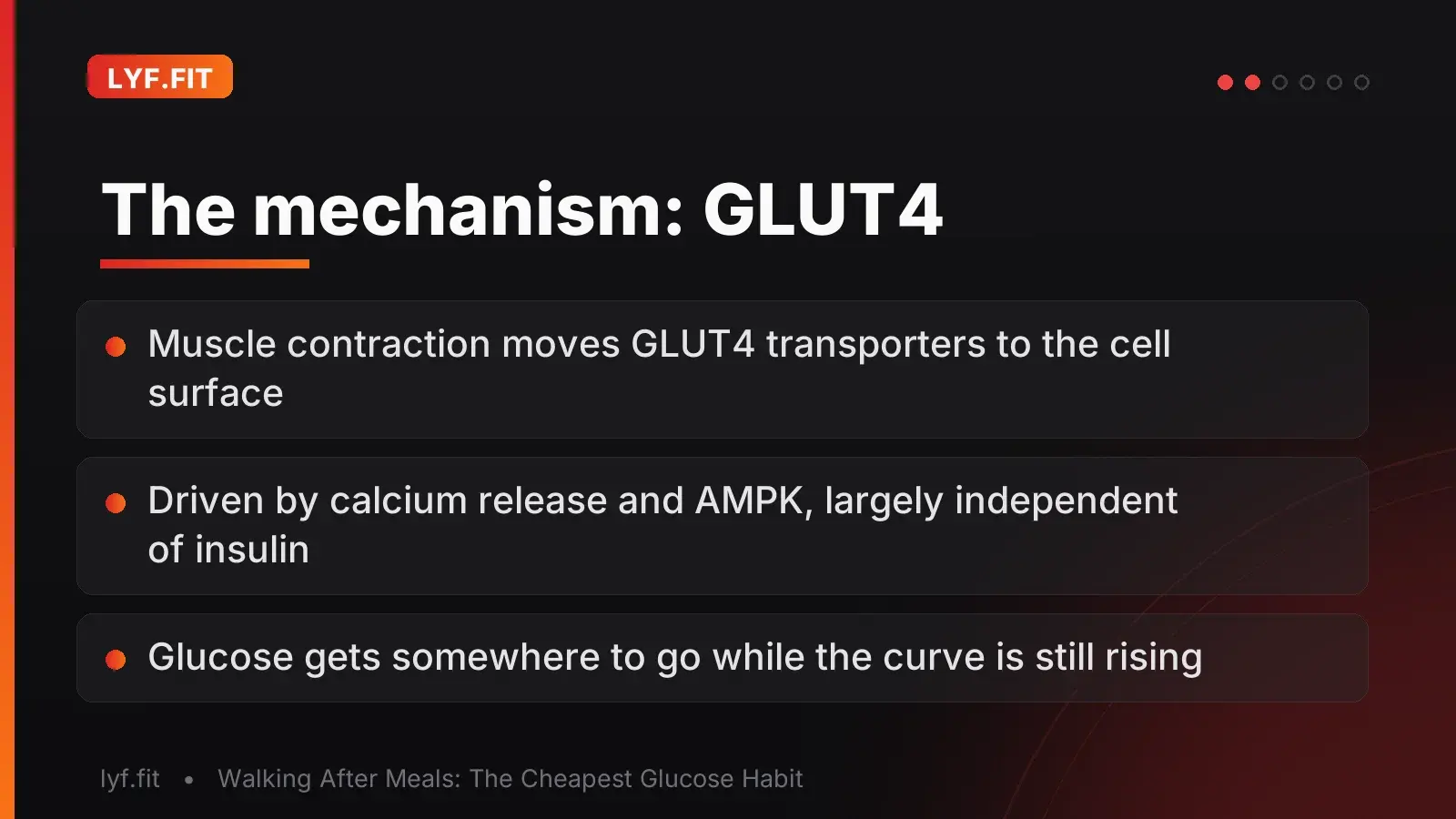 The mechanism: GLUT4