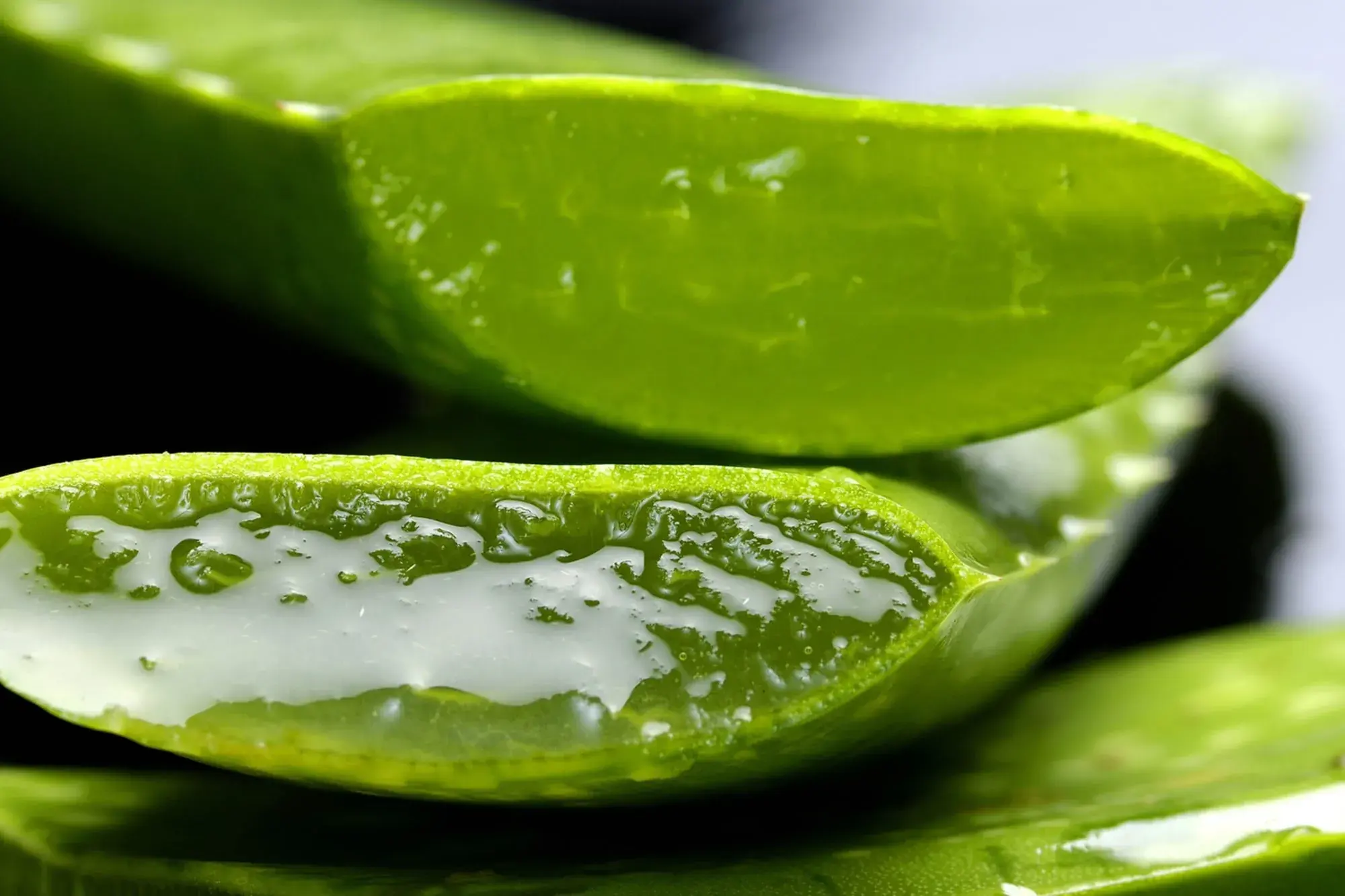 Botanical Extract Benefits
