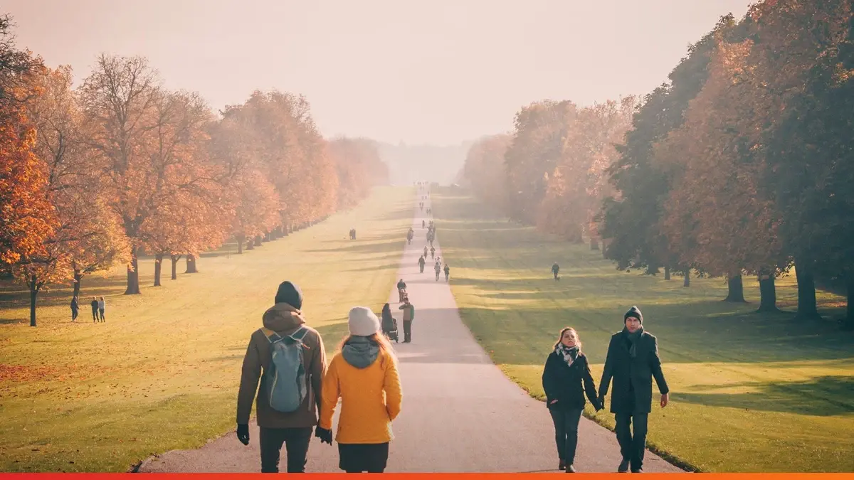 Walking After Meals: The Cheapest Glucose Habit