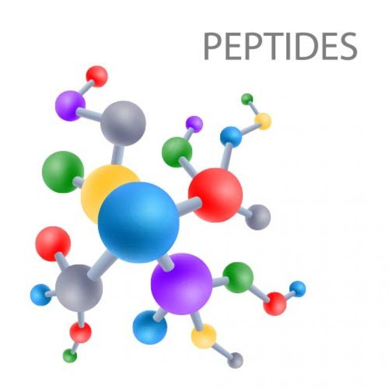 types of peptides