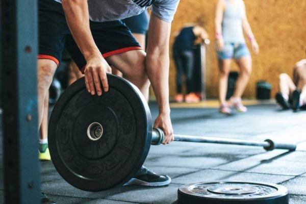 guide to SARMs