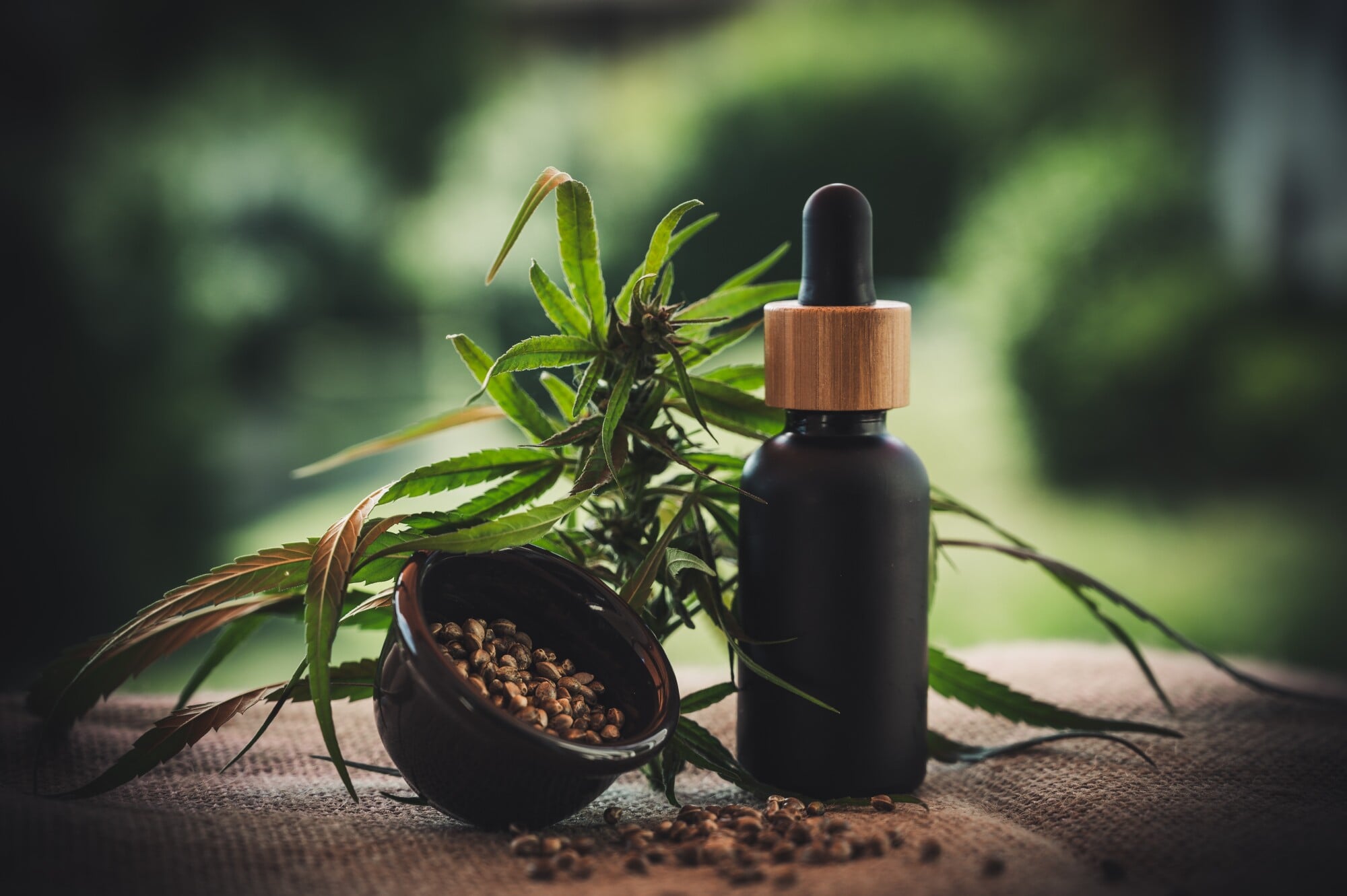 CBD facts