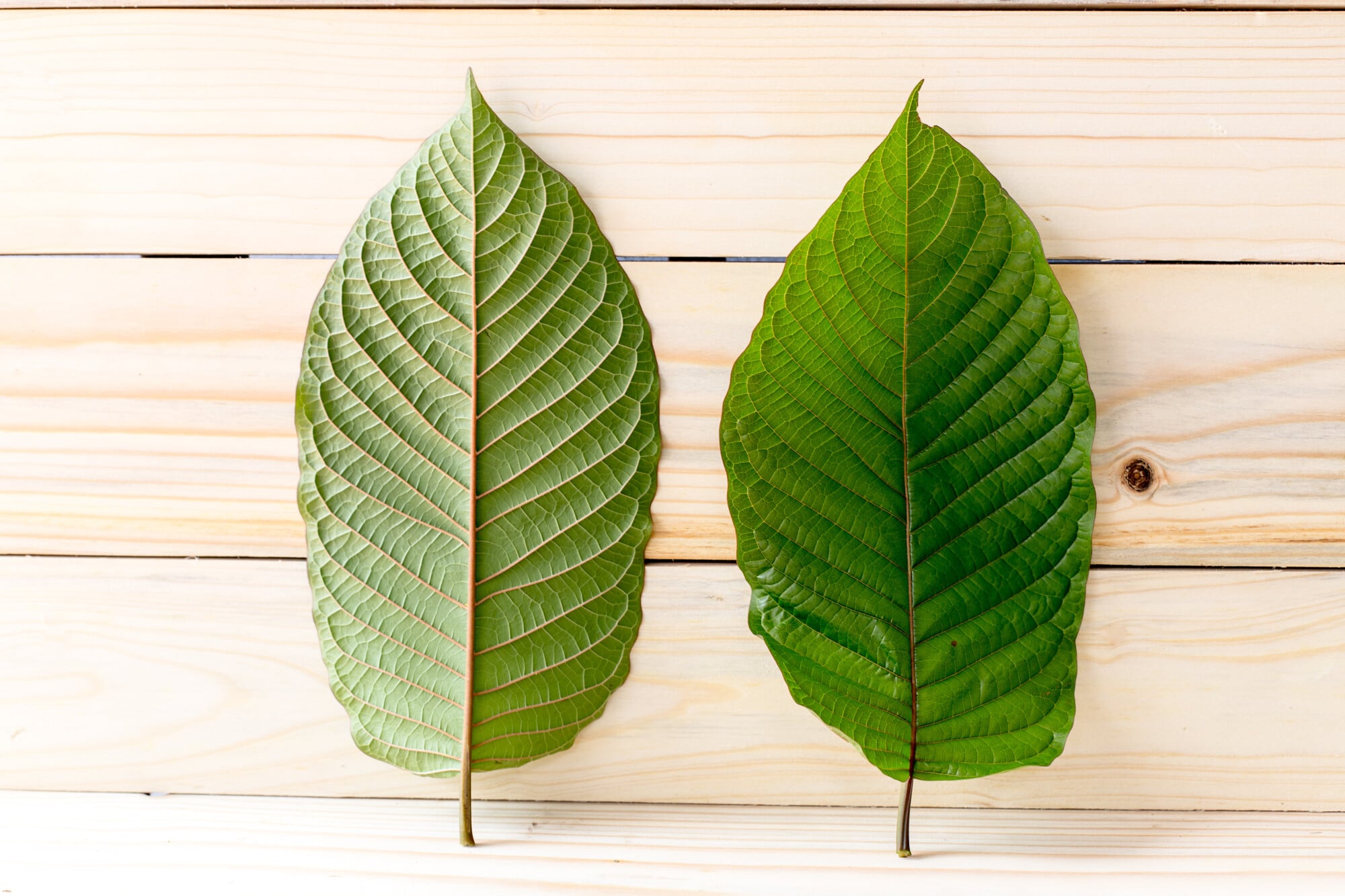kratom benefits