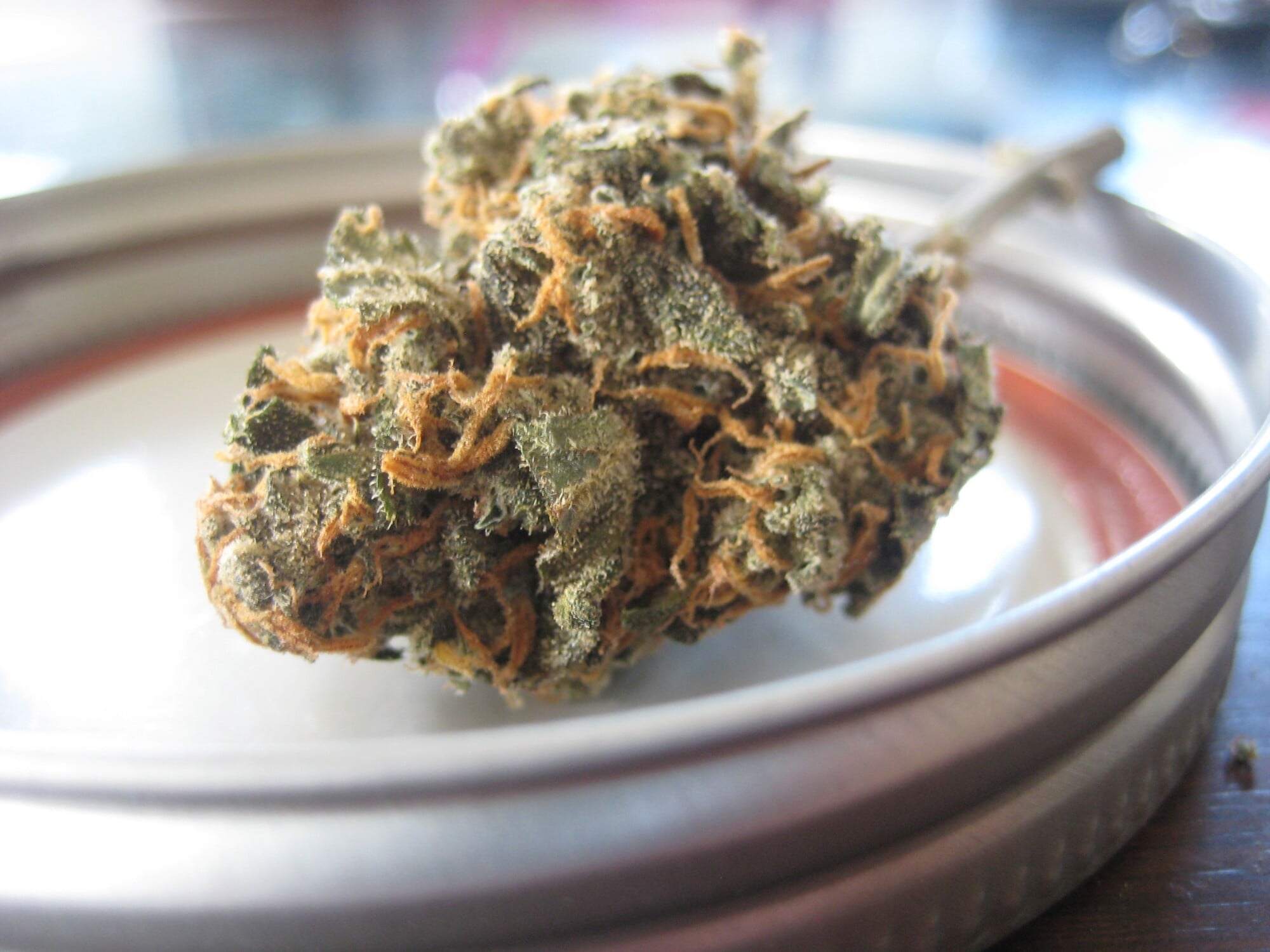 cbd info
