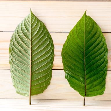 Top 10 Kratom Benefits