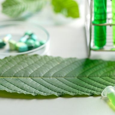 7 Benefits of Kratom Extract for Every Workout Routine