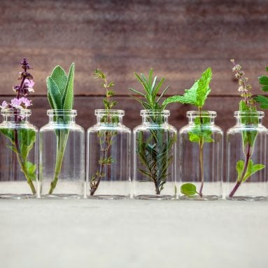 5 Boosting Benefits of Botanicals for Fitness