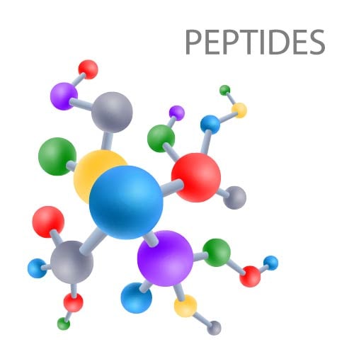 types of peptides